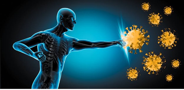 ویروس پاپیلومای انسانی (HPV)